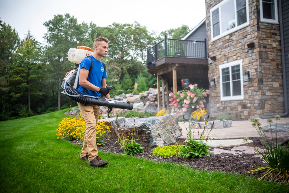 Mosquito killer for clearance yard